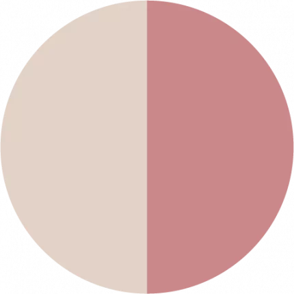 Dyson Airstrait Ceramic Pink Rose Farbfeld